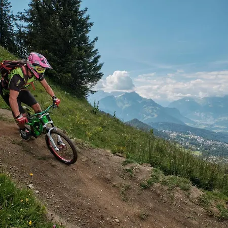 Alpstuga Verseau Avec Piscine Interieure Arveyes