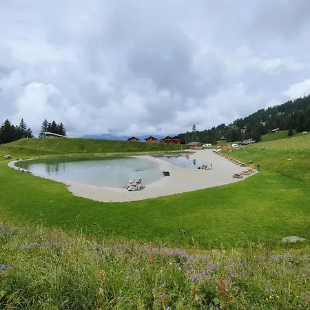Verseau Avec Piscine Interieure * Arveyes