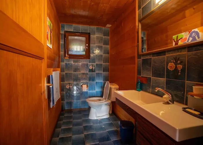 Verseau Avec Piscine Interieure *