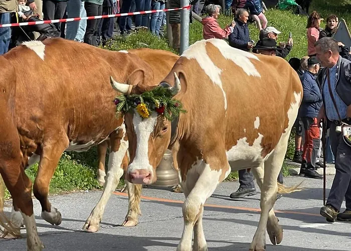 Verseau Avec Piscine Intérieure